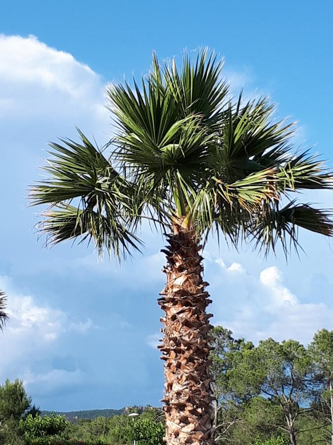 Les Parasols D'Argens Roquebrune-sur-Argens Exterior foto